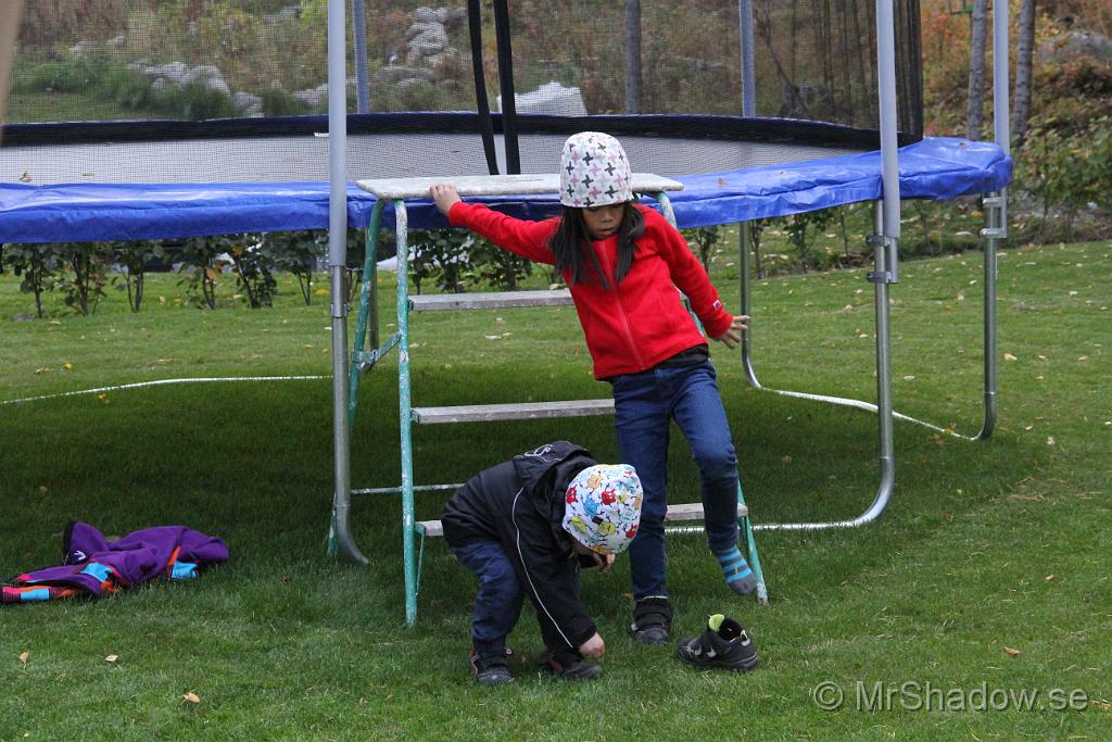 IMG_6302.JPG