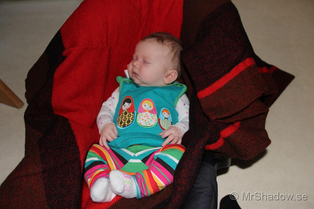 IMG_7372.JPG
