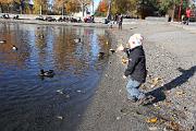 IMG_6968