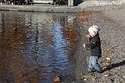 IMG_6971