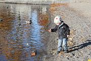 IMG_6976