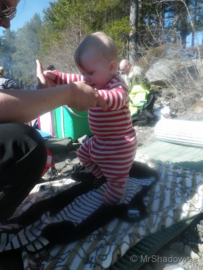 IMGP2715.jpg