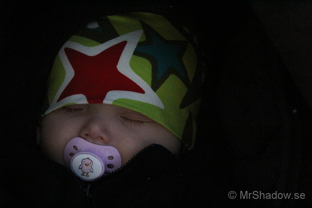 IMG_7842.JPG