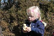 IMG_7877