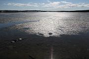 IMG_7881