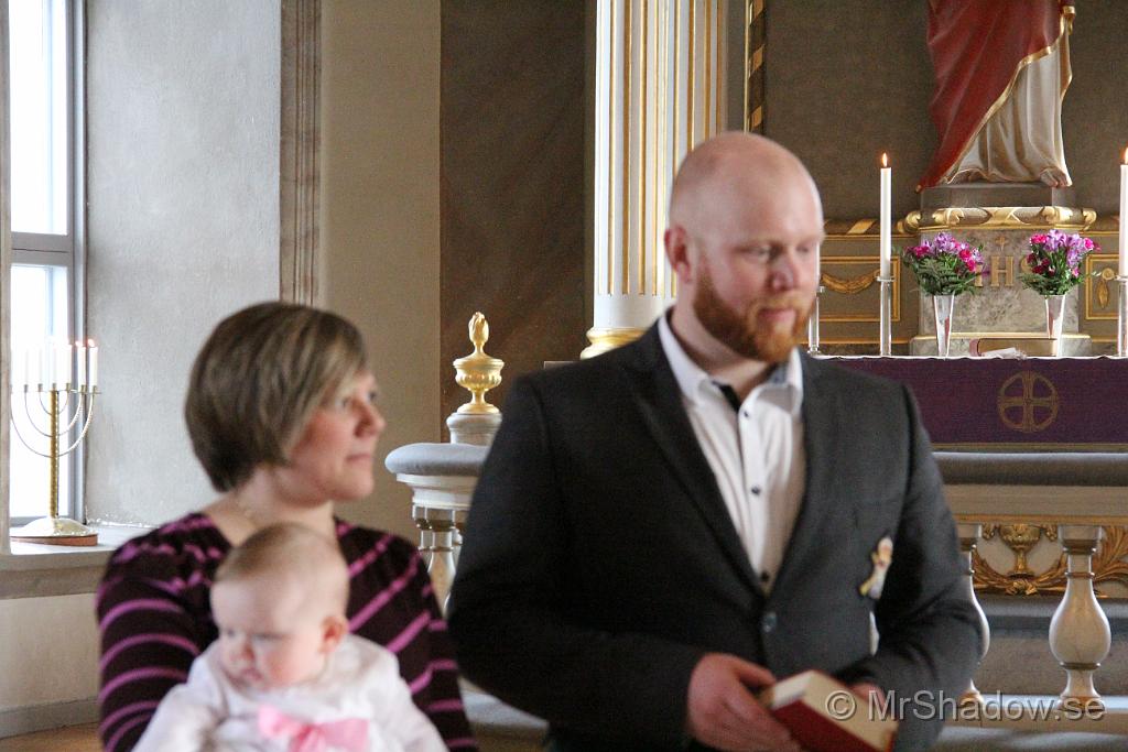 IMG_7715.JPG