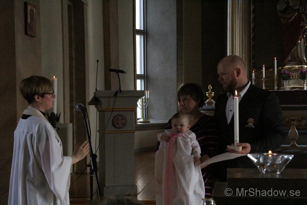 IMG_7718.JPG