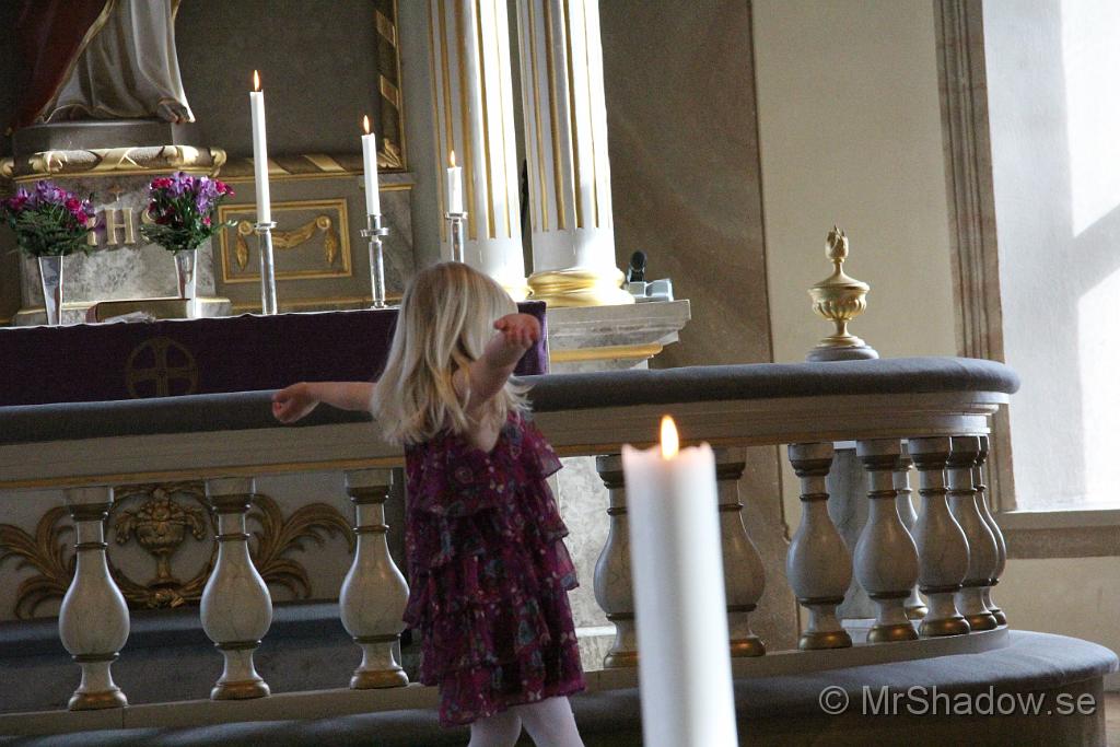 IMG_7719.JPG