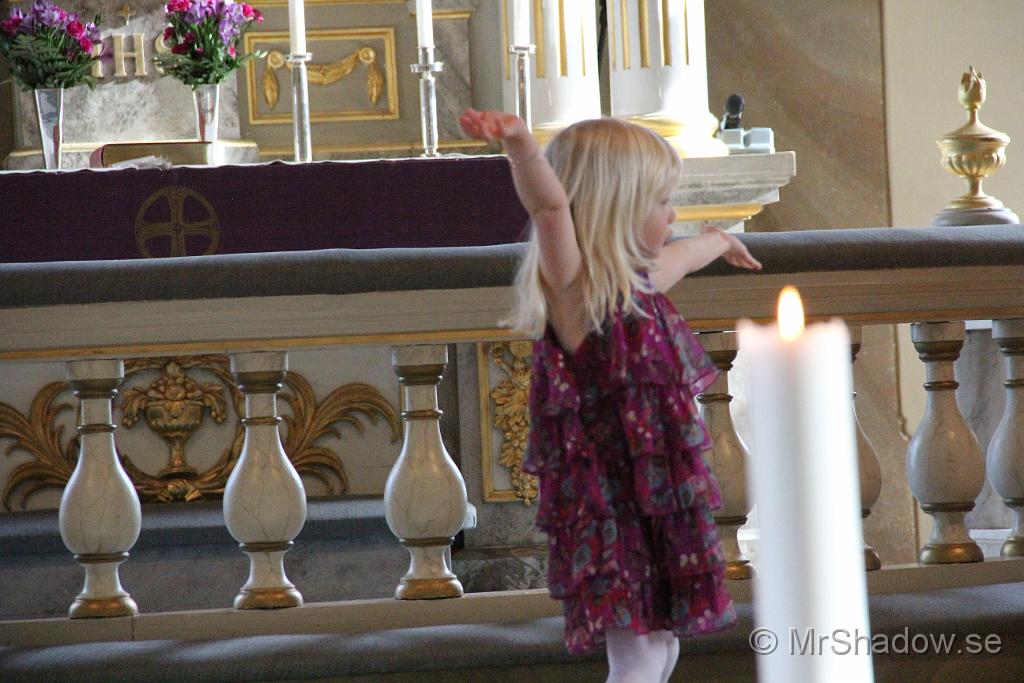 IMG_7724.JPG