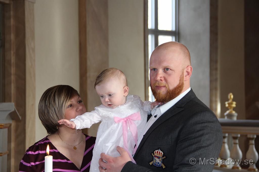 IMG_7764.JPG