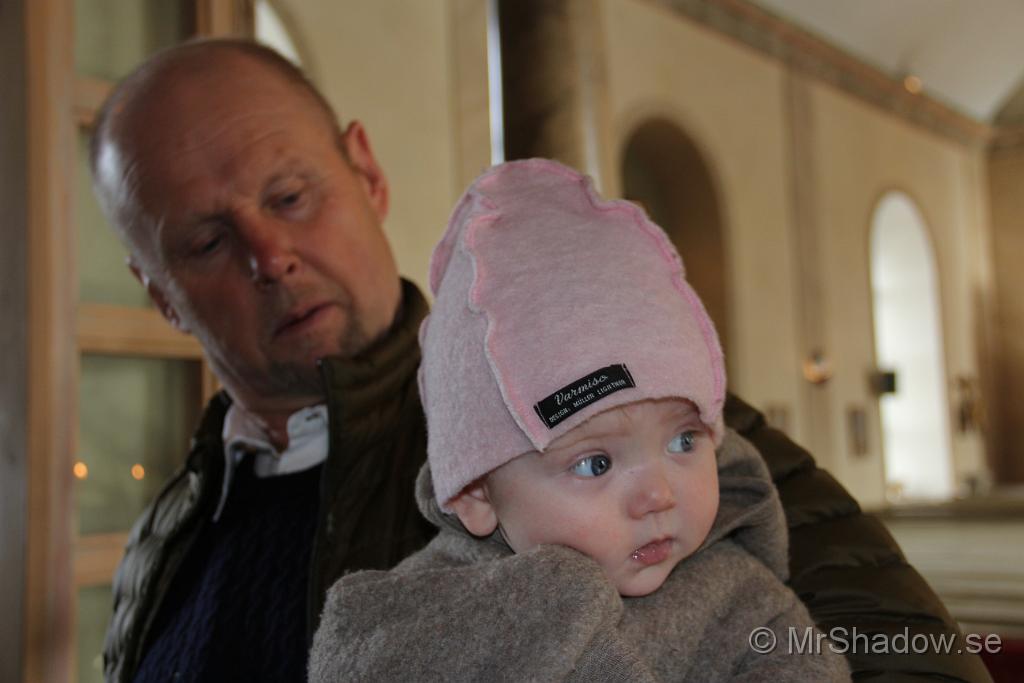 IMG_7775.JPG
