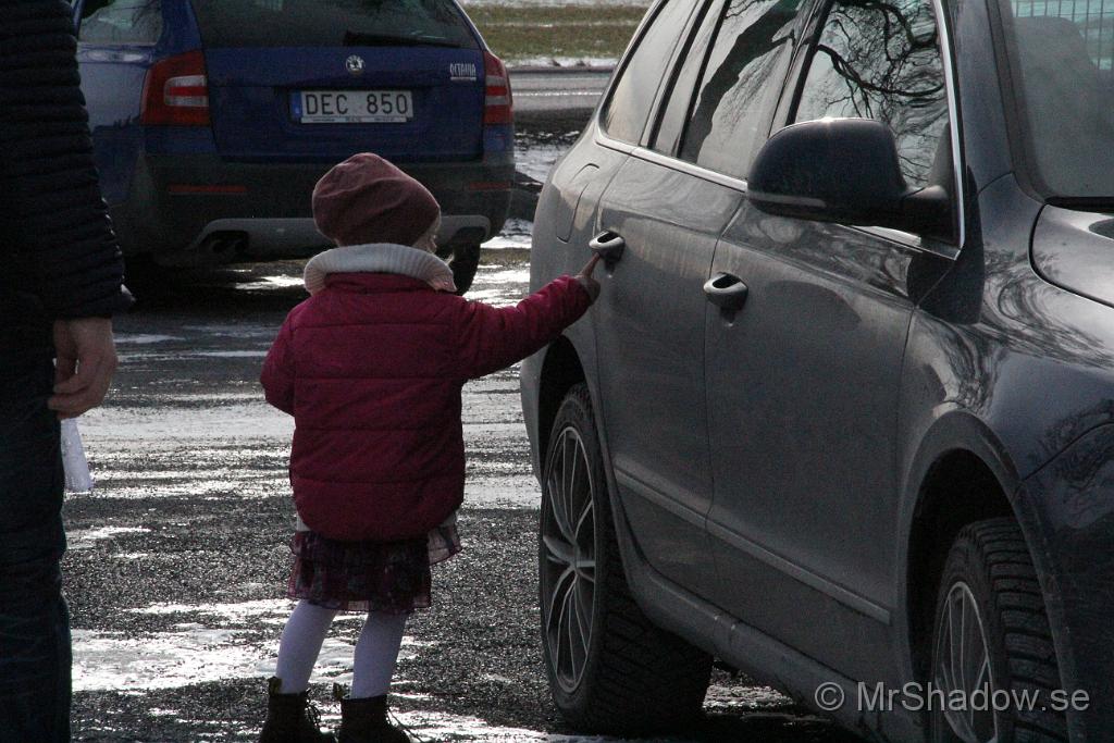 IMG_7779.JPG