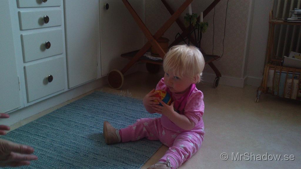 DSC_0780.jpg