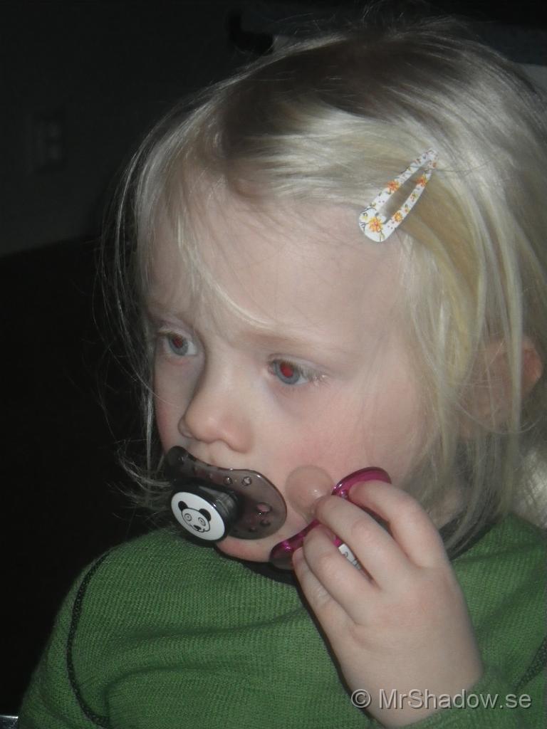 IMGP2579.JPG