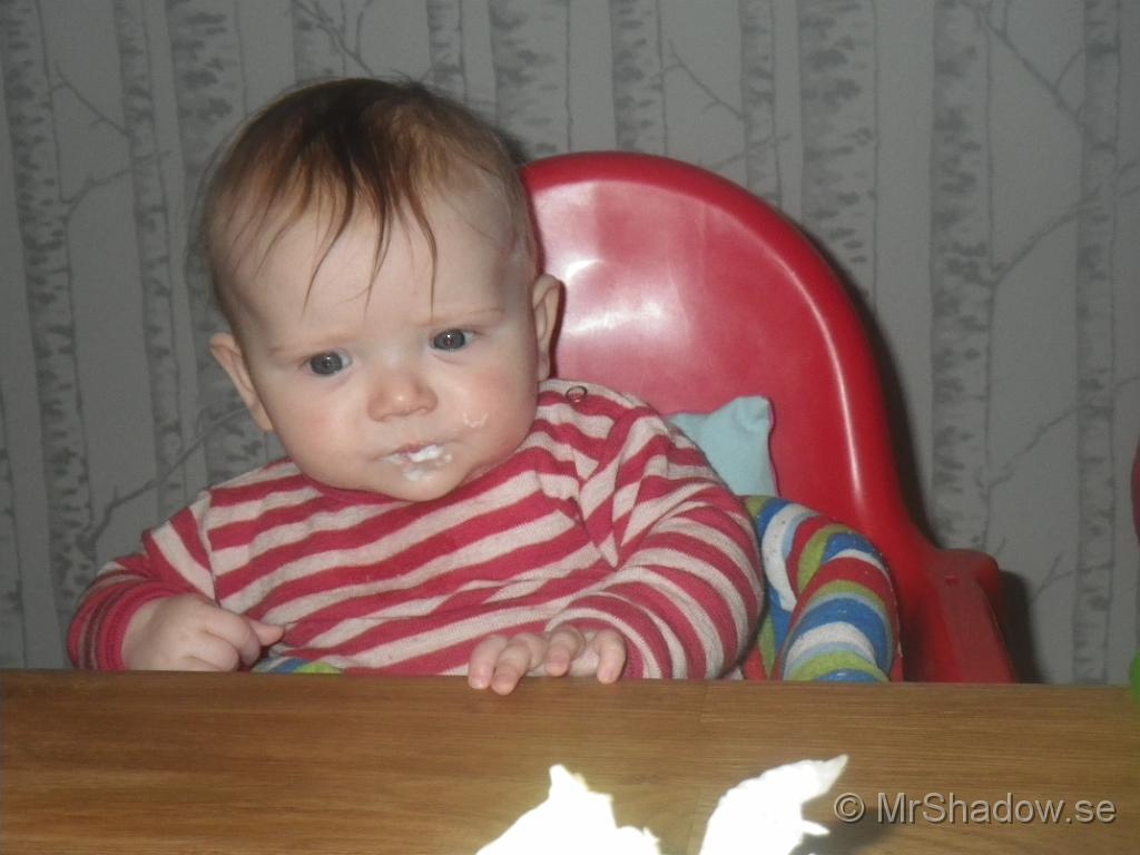 IMGP2584.JPG