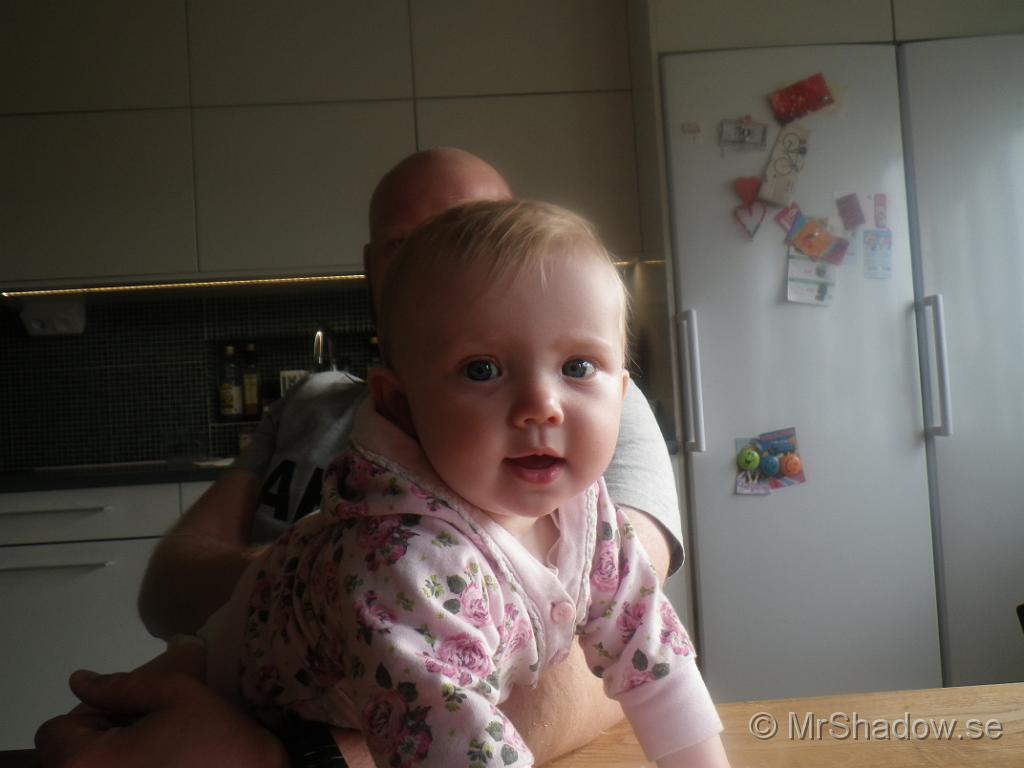 IMGP2747.JPG