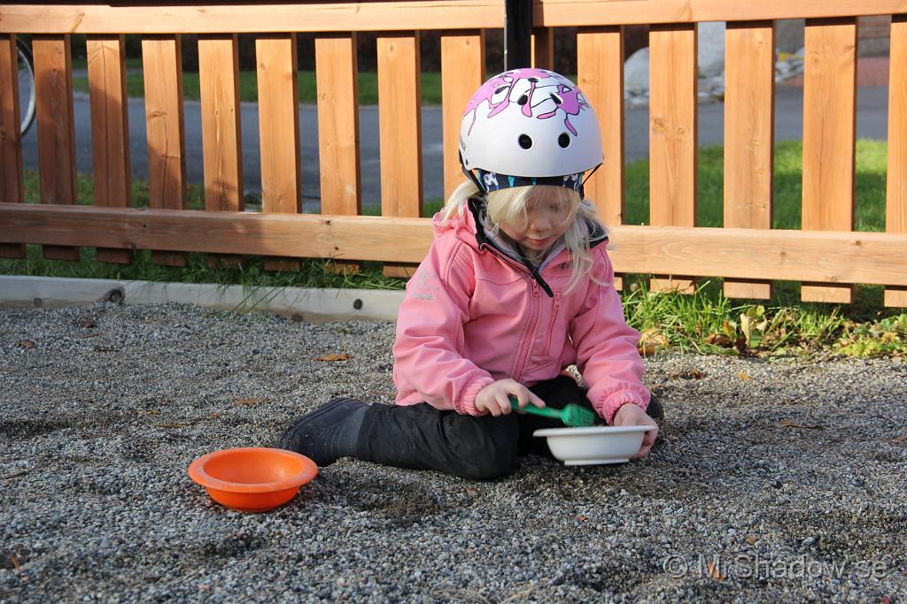 IMG_1388.JPG