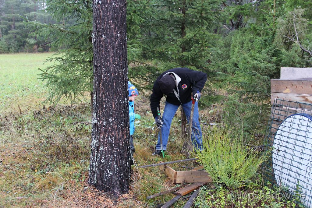 IMG_1413.JPG