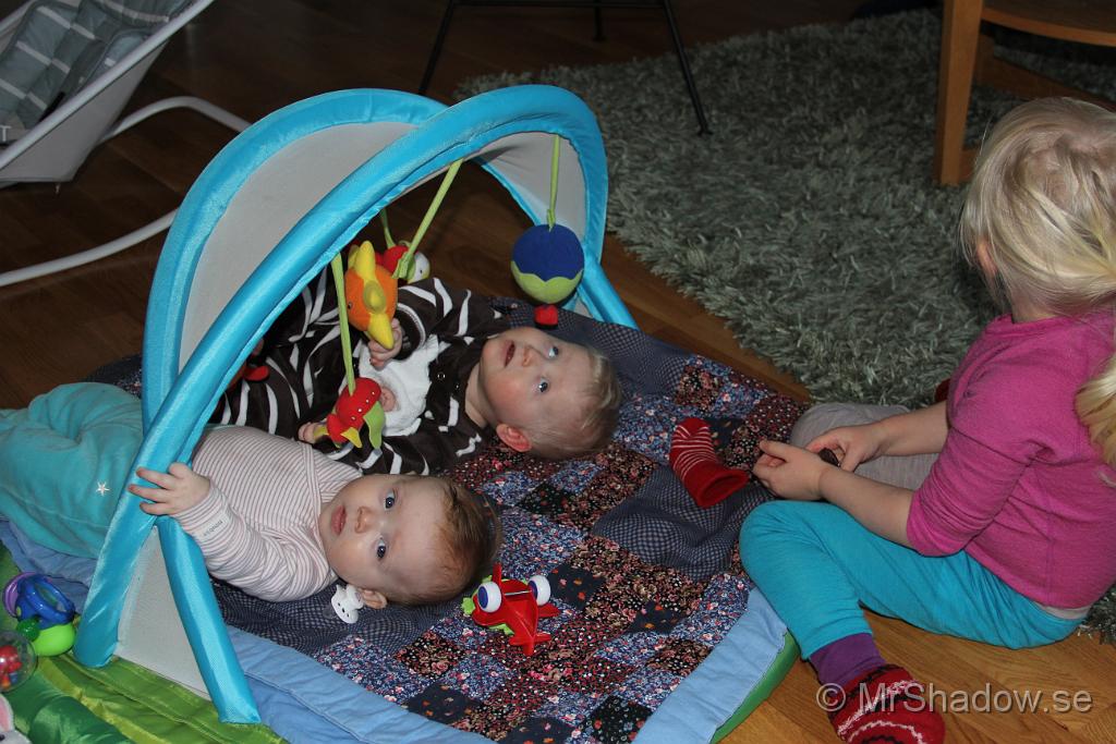IMG_7503.JPG