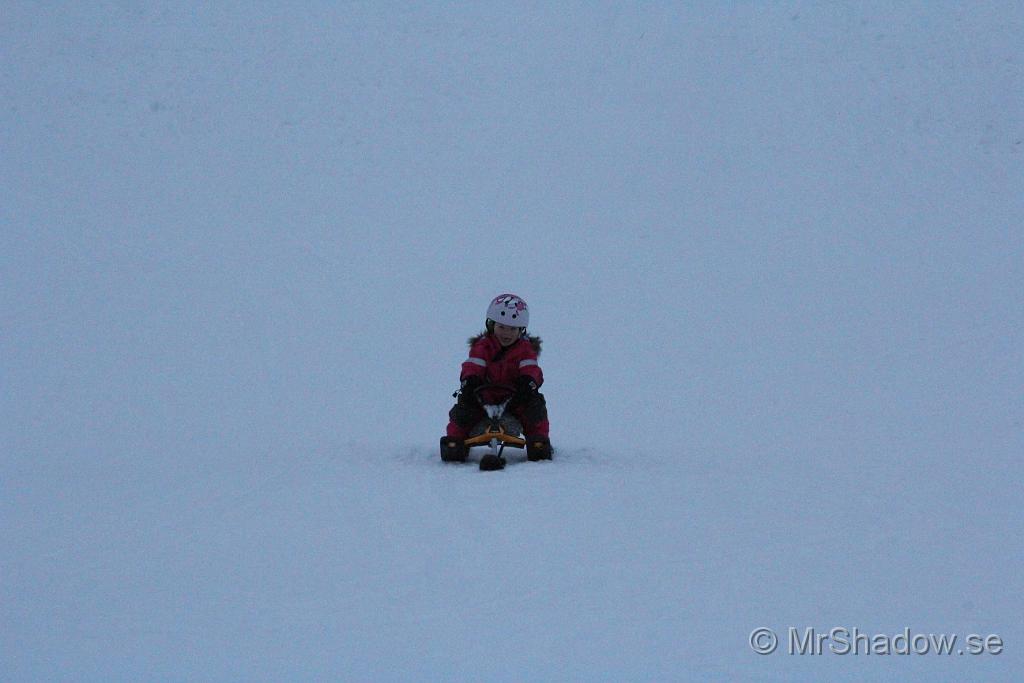 IMG_7540.JPG