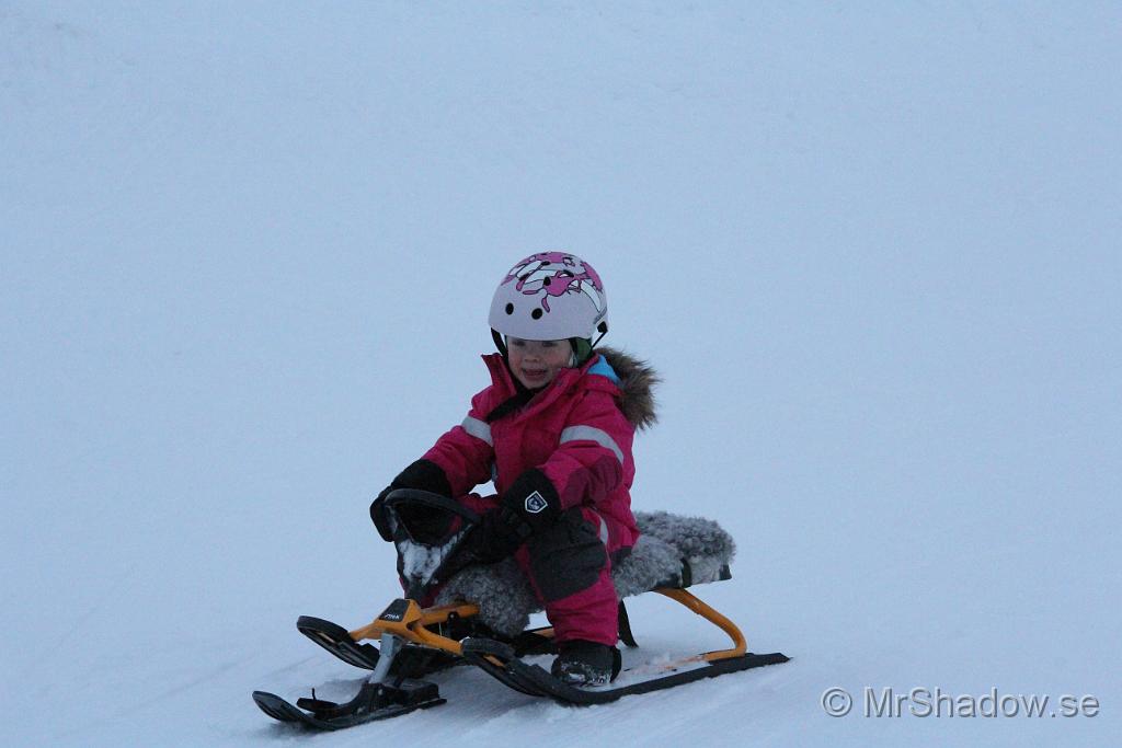 IMG_7545.JPG