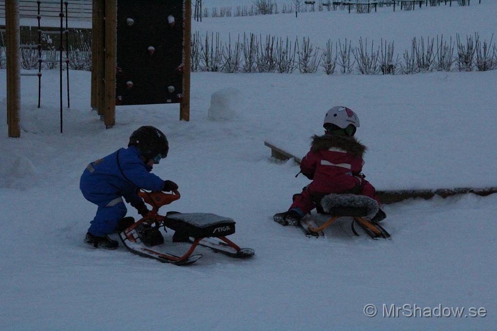 IMG_7571.JPG