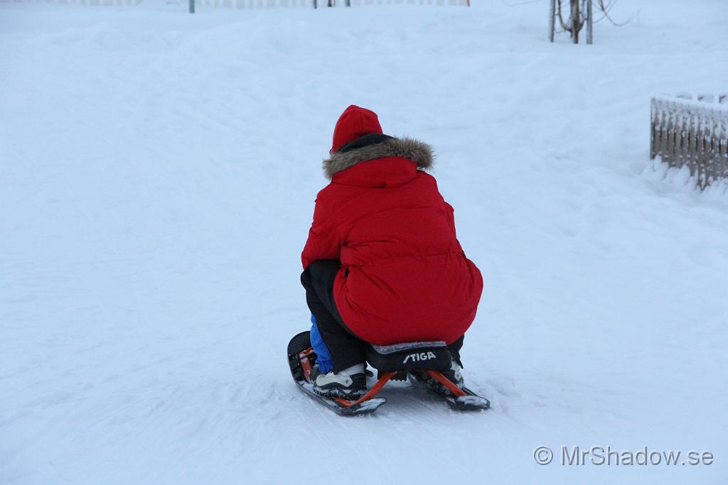 IMG_7584.JPG