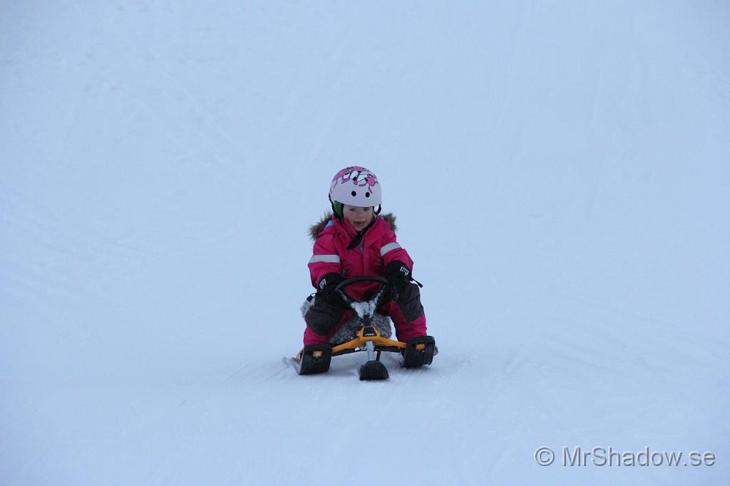 IMG_7587.JPG