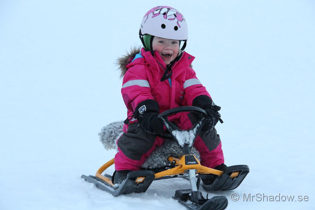 IMG_7590.JPG