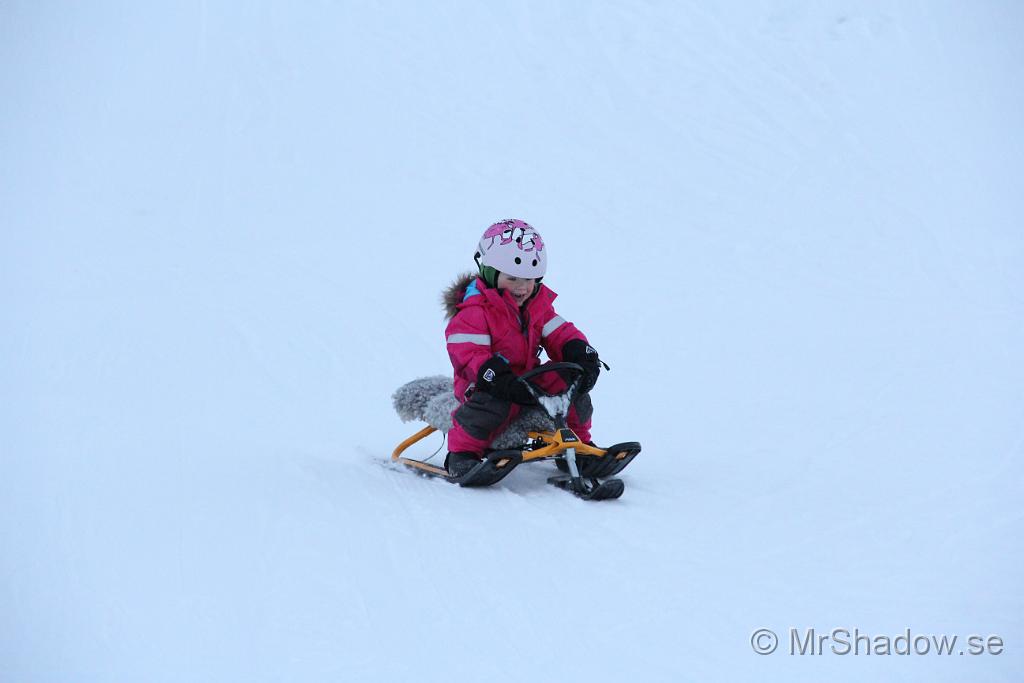 IMG_7599.JPG