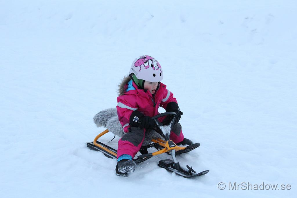 IMG_7602.JPG