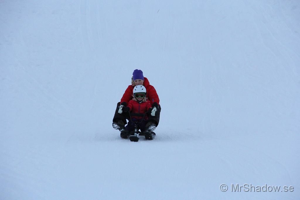 IMG_7603.JPG