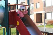 IMG_1382