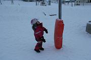 IMG_7591
