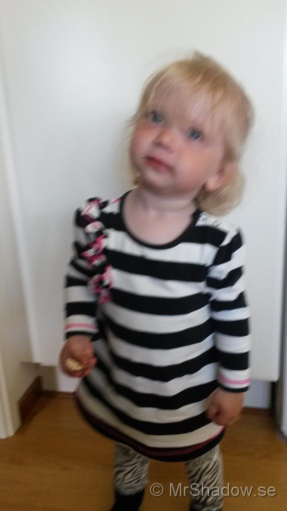 20150627_150118.jpg