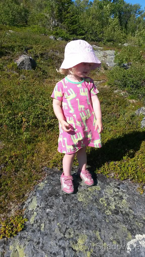 20150822_153238.jpg