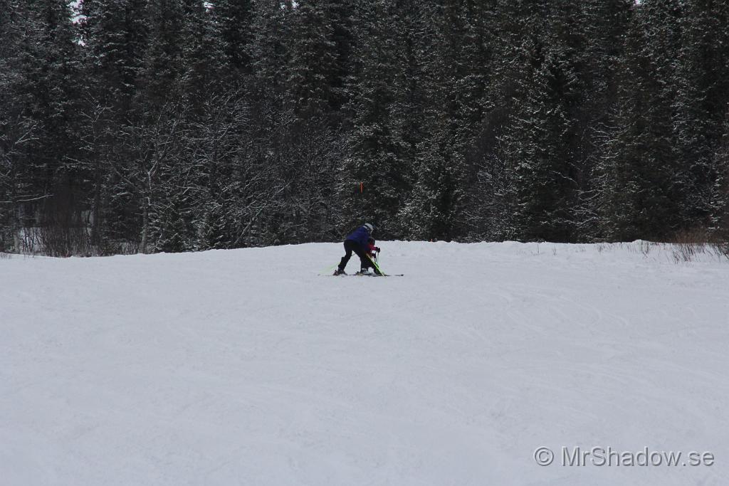 IMG_1881.JPG