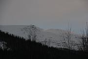 IMG_1901