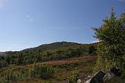 IMG_5222