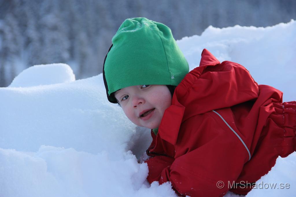 IMG_6217.JPG