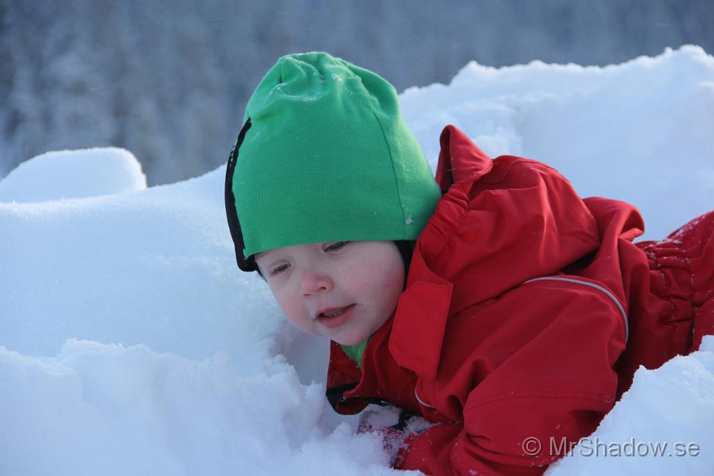 IMG_6218.JPG
