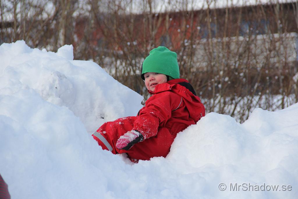 IMG_6232.JPG