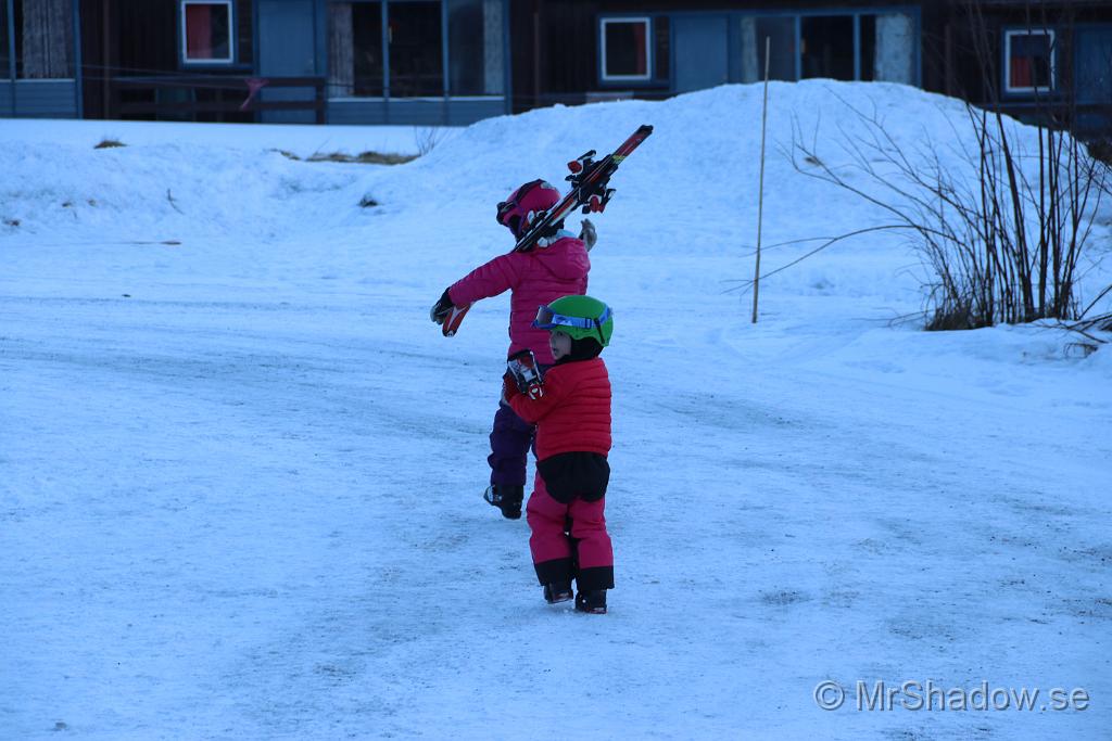 IMG_3518.JPG