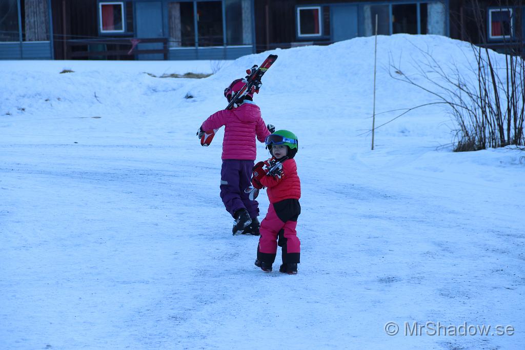 IMG_3519.JPG