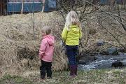 IMG_3653