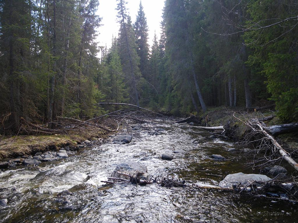 IMGP0933.JPG - Inte lika strid som tidigare men det brusar lite ändå.