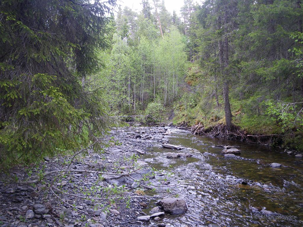 IMGP1014.JPG - Istället för en massa snå vid The Creek, är det nu fin grönska