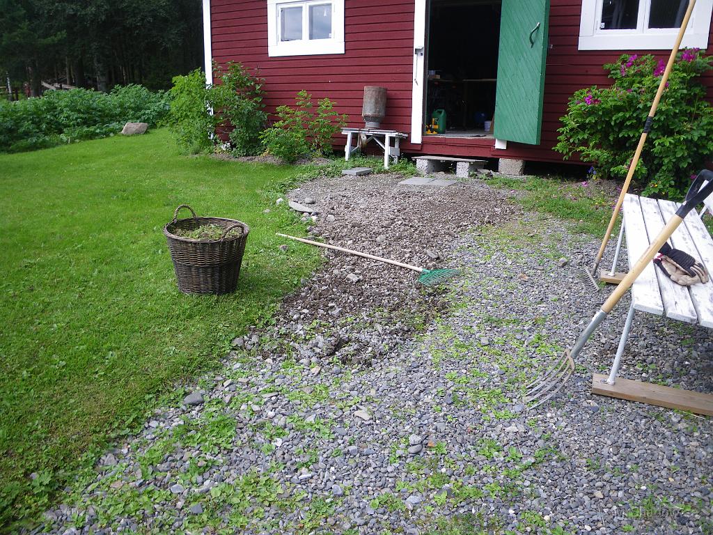 IMGP1632.JPG - Evighetsjobbet... Rensa grusgången från ogräs... Det är ju inte bara rycka bort det gröna. utan man bör få med rotsystemet också. Det är inte bara en liten planta att ta bort..