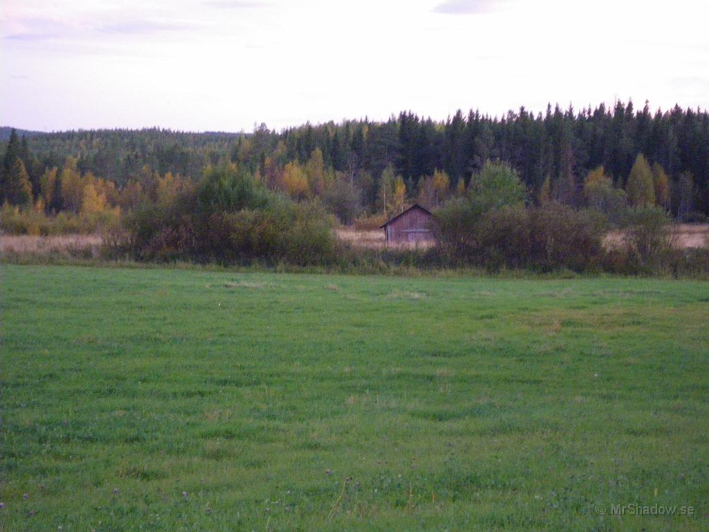 IMGP2086.JPG - Fast det är dåligt ljus så är nu skiftningarna i färg markanta.