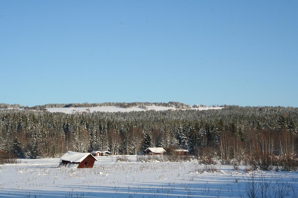 IMG_6347.JPG - Det är fint när solen ligger på mot Tann